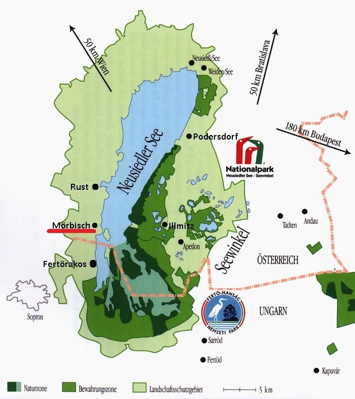 SCST - Segelclub STEWEAG
